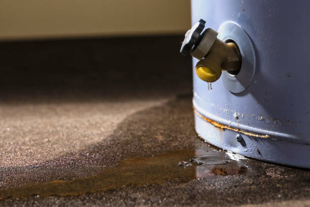 Best Local water damage restoration  in Oberlin, LA