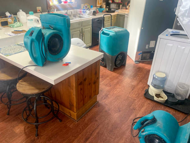 Best Sewage cleanup and water damage restoration  in Oberlin, LA