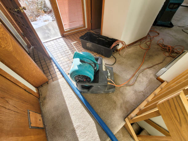 Best Flood damage cleanup  in Oberlin, LA